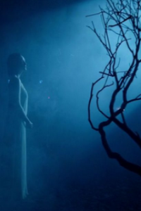 Birdman or (The Unexpected Virtue of Ignorance)